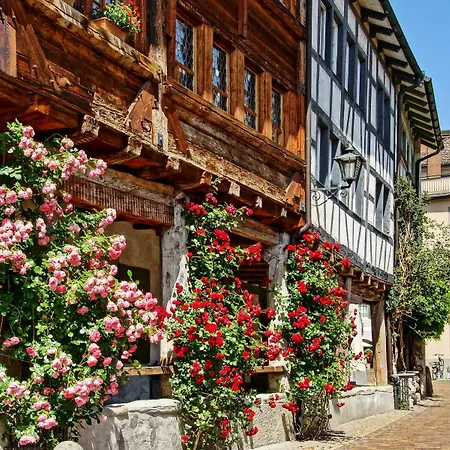 Hotel Sorell Boutique-hotel Speer Rapperswil-Jona