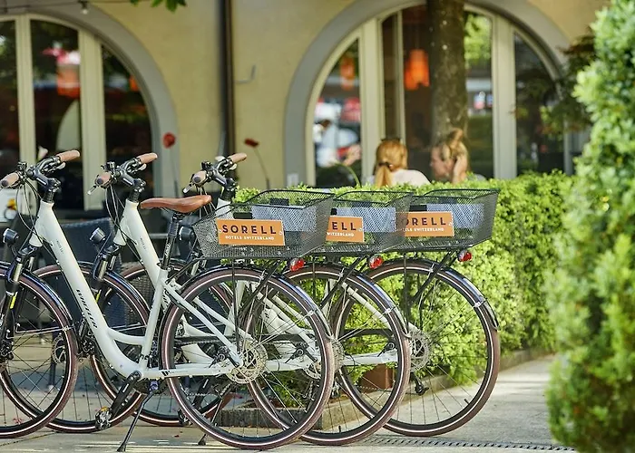 Sorell Boutique-hotel Speer 4* Rapperswil-Jona