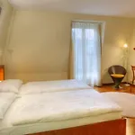 Sorell Boutique-hotel Speer 4* Rapperswil-Jona